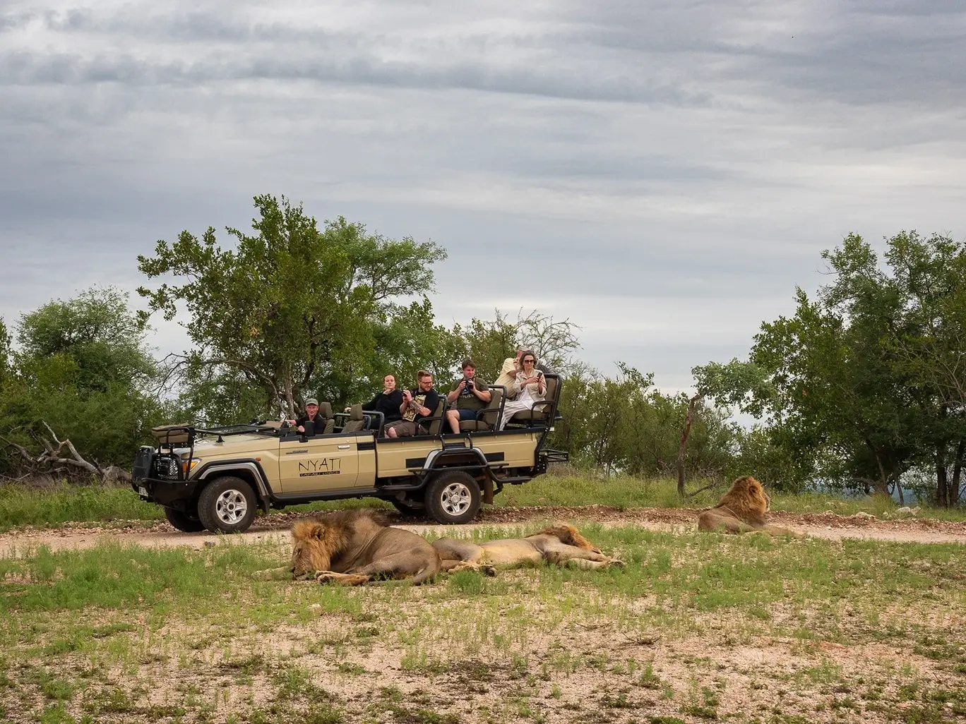 nyati safari